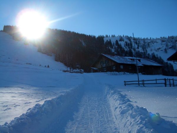 PaSta auf der Almhütte - Bild Nr. 31 von 37