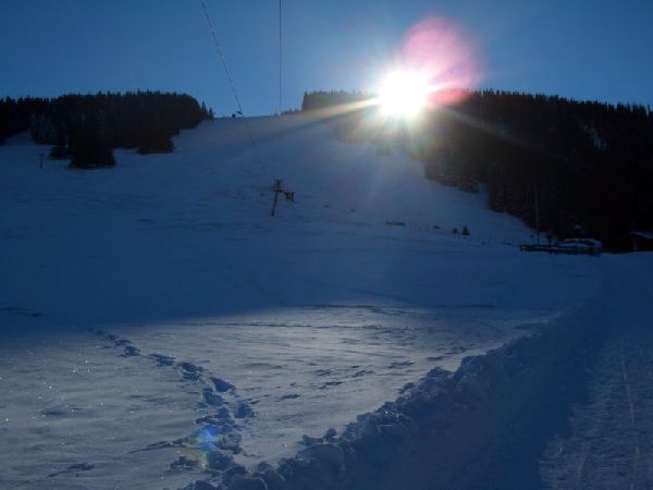 PaSta auf der Almhütte - Bild Nr. 32 von 37