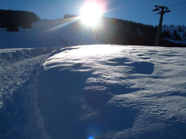 PaSta auf der Almhütte - Bild Nr. 34 von 37