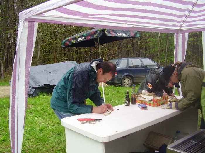 Pflanzaktion Im Sauhag 2008 - Bild Nr. 13 von 34