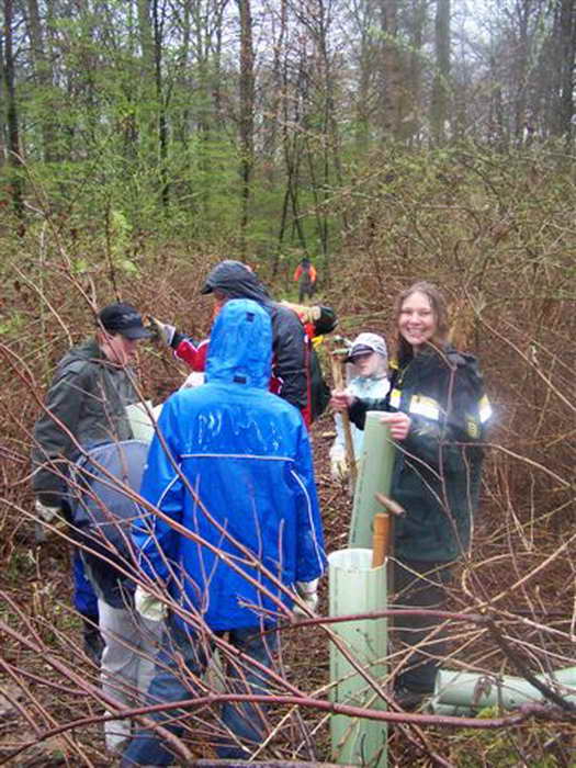 Pflanzaktion Im Sauhag 2008 - Bild Nr. 17 von 34