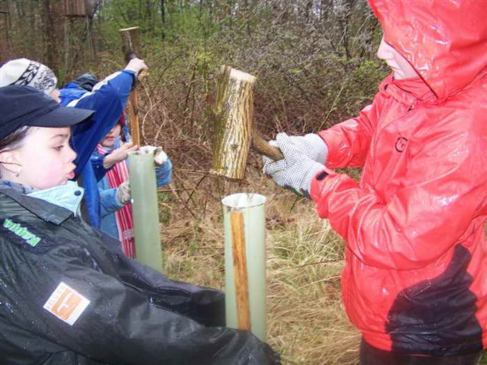 Pflanzaktion Im Sauhag 2008 - Bild Nr. 19 von 34