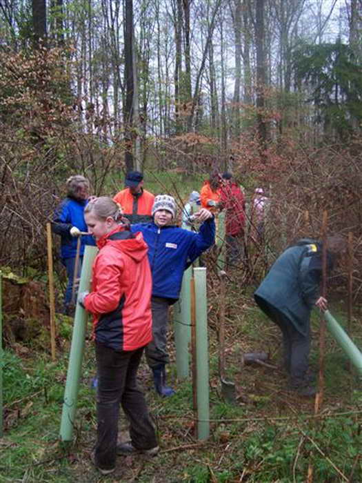 Pflanzaktion Im Sauhag 2008 - Bild Nr. 26 von 34