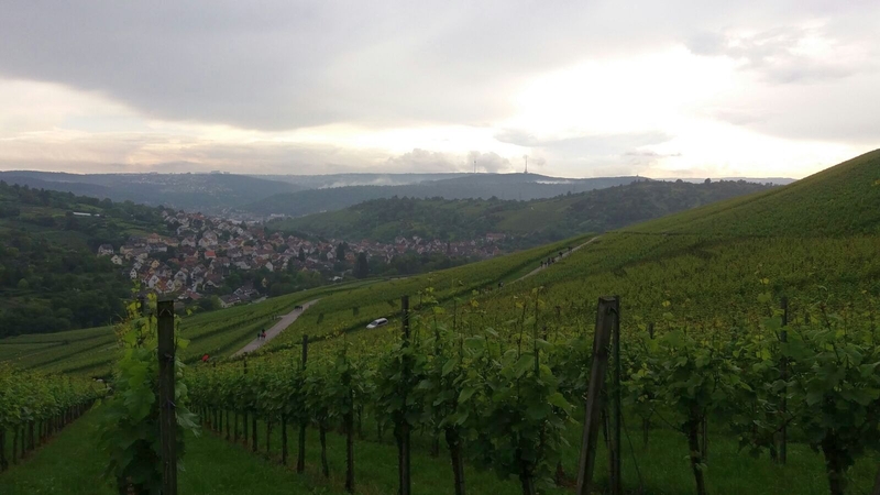 Weinwanderung 2016 - Bild Nr. 42 von 98